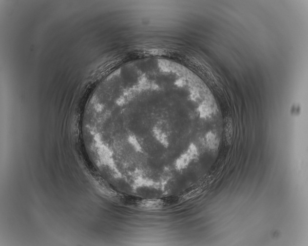 X0000096430410200802211152