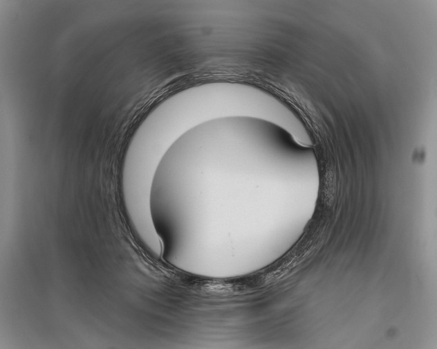 X0000096430413200802211152