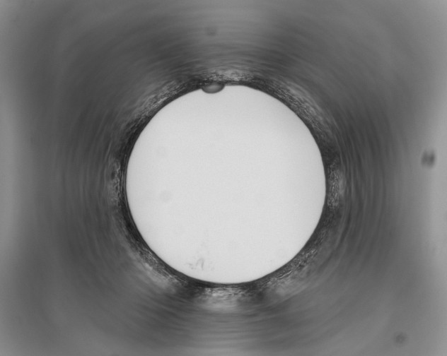 X0000096430414200802211152