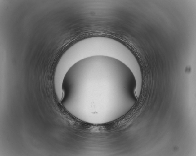 X0000096430415200802211152