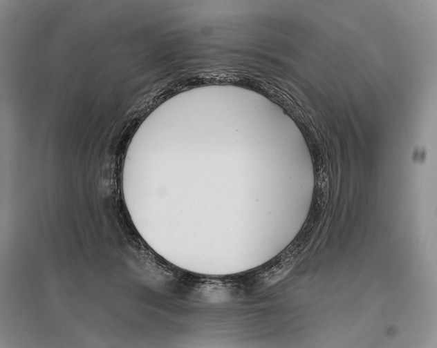 X0000096430416200802211152
