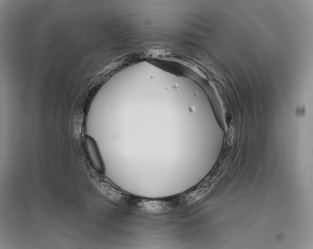 X0000096430417200802211152