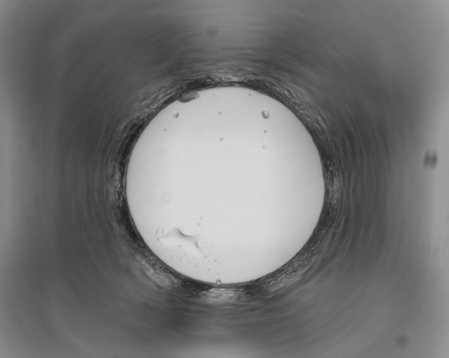 X0000096430418200802211151