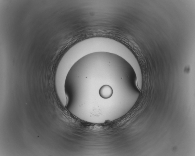 X0000096430419200802211151