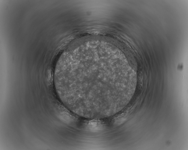 X0000096430420200802211151