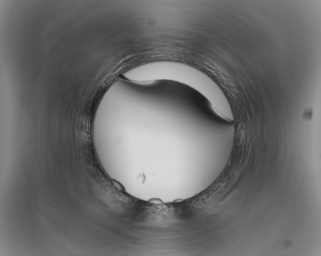 X0000096430421200802211151