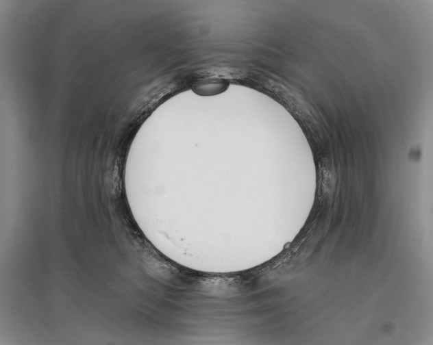 X0000096430422200802211151