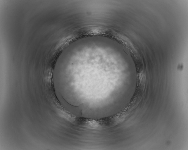 X0000096430423200802211151