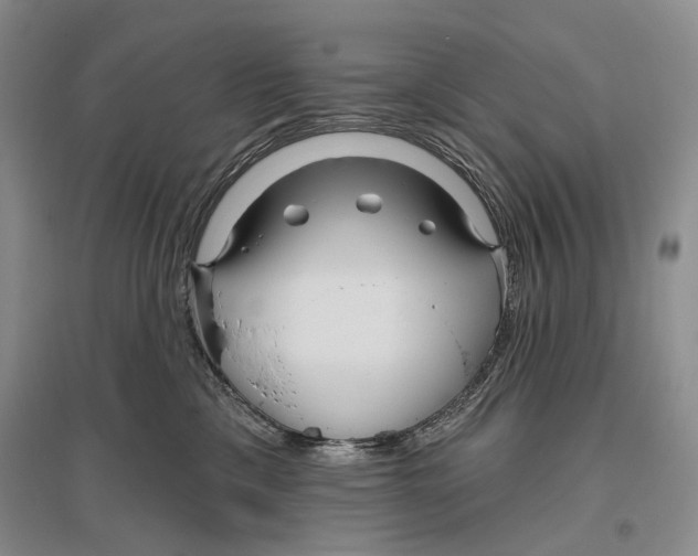 X0000096430425200802211151