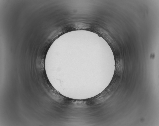 X0000096430426200802211151