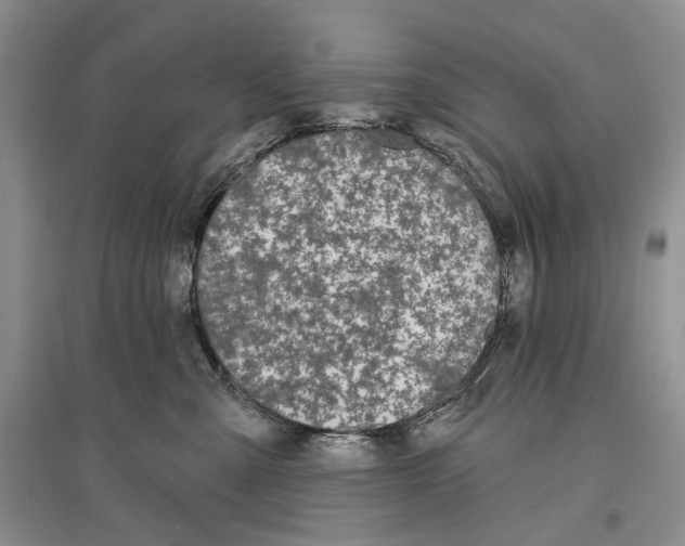 X0000096430427200802211151