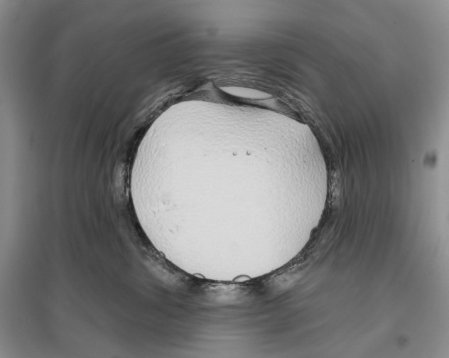 X0000096430428200802211151