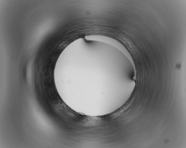 X0000096430429200802211151