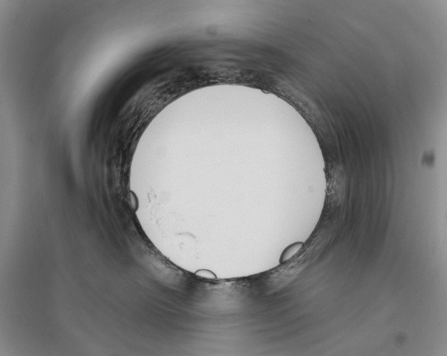 X0000096430430200802211151