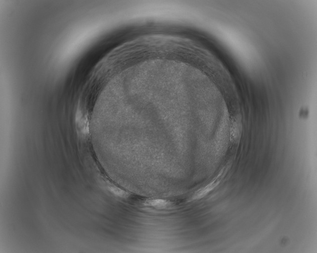 X0000096430431200802211151
