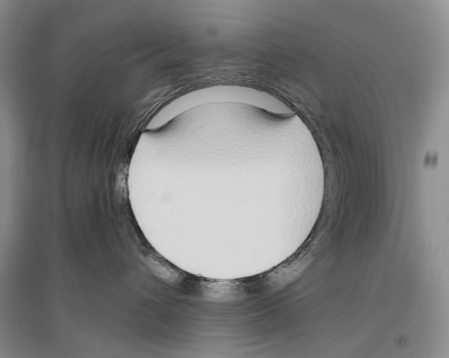 X0000096430432200802211151