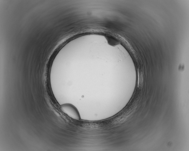 X0000096430435200802211151