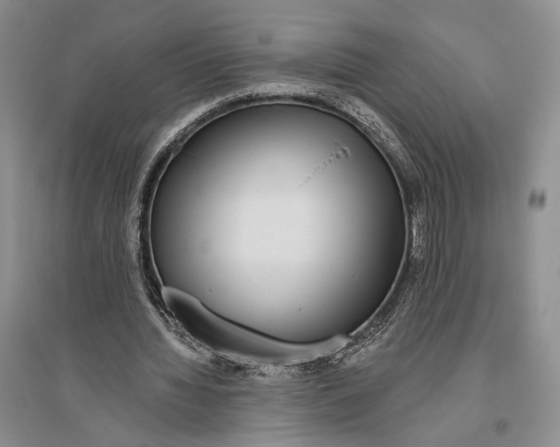 X0000096430436200802211151