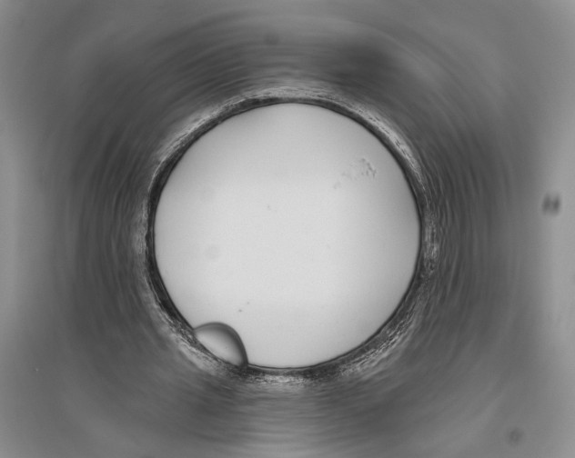 X0000096430437200802211151