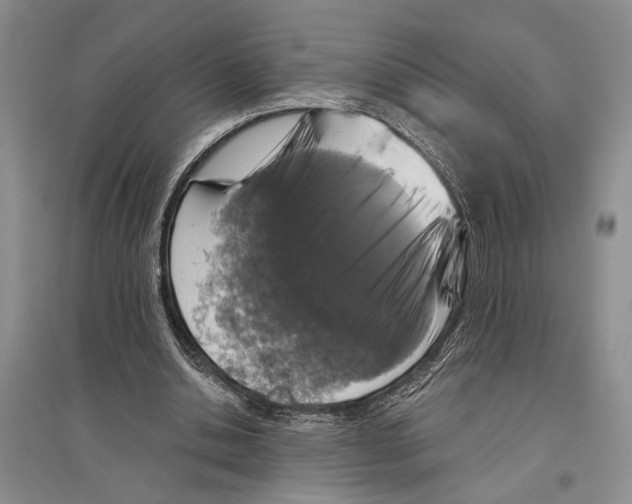 X0000096430438200802211151