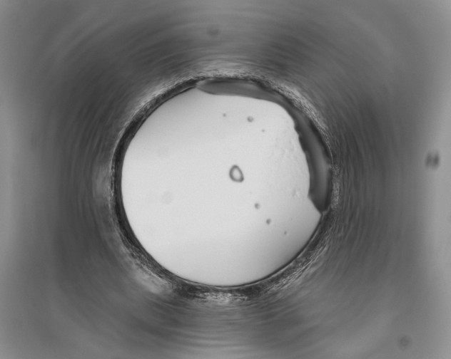 X0000096430439200802211151