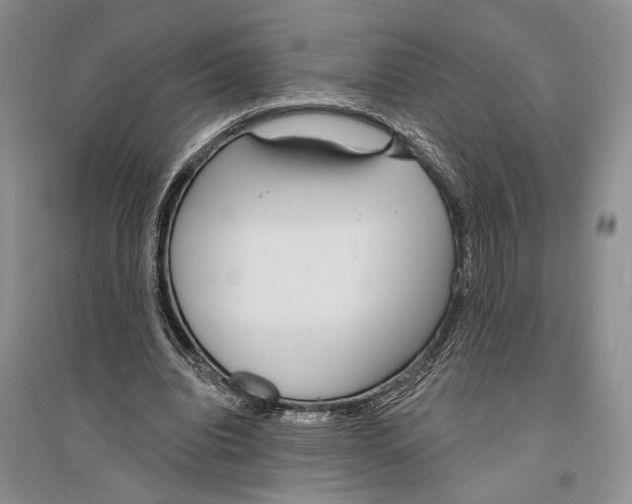 X0000096430440200802211151