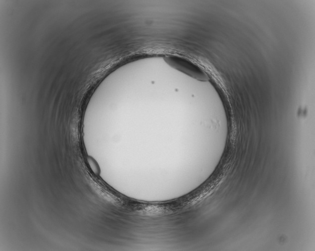 X0000096430441200802211151