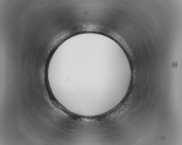 X0000096430442200802211151