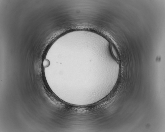 X0000096430443200802211151