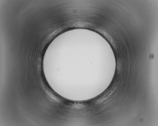 X0000096430445200802211151