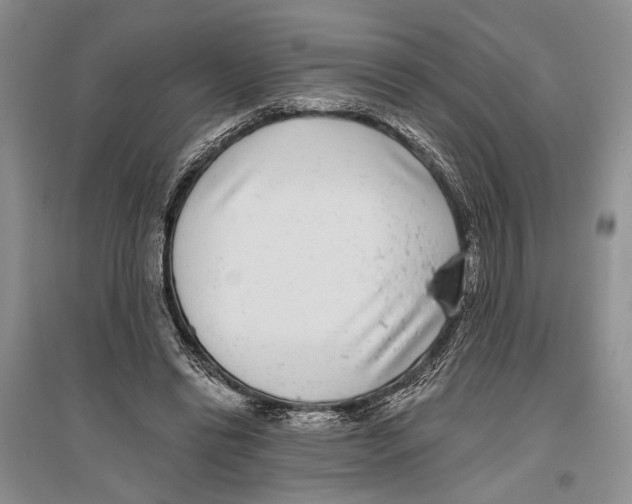 X0000096430446200802211151