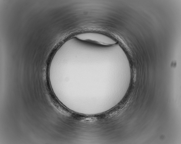 X0000096430447200802211151