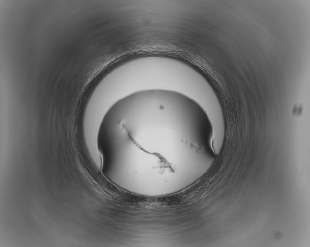 X0000096430448200802211151