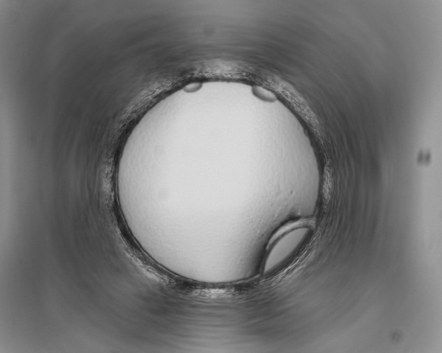 X0000096430449200802211151