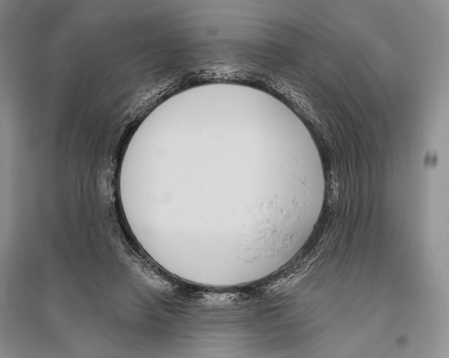 X0000096430450200802211151