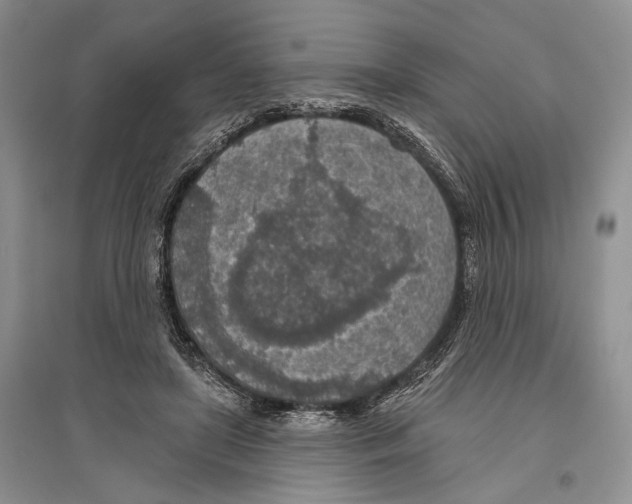 X0000096430451200802211151