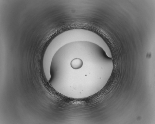 X0000096430452200802211151