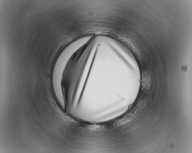 X0000096430453200802211151