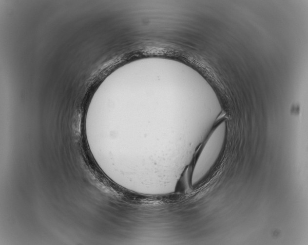 X0000096430454200802211151