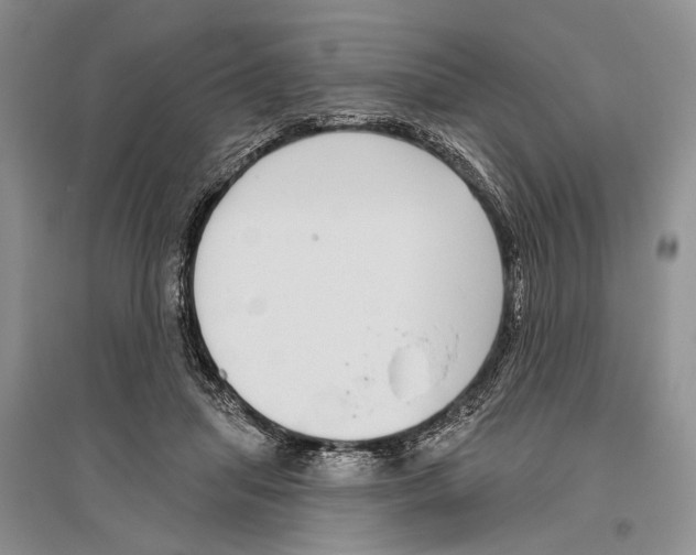 X0000096430455200802211151