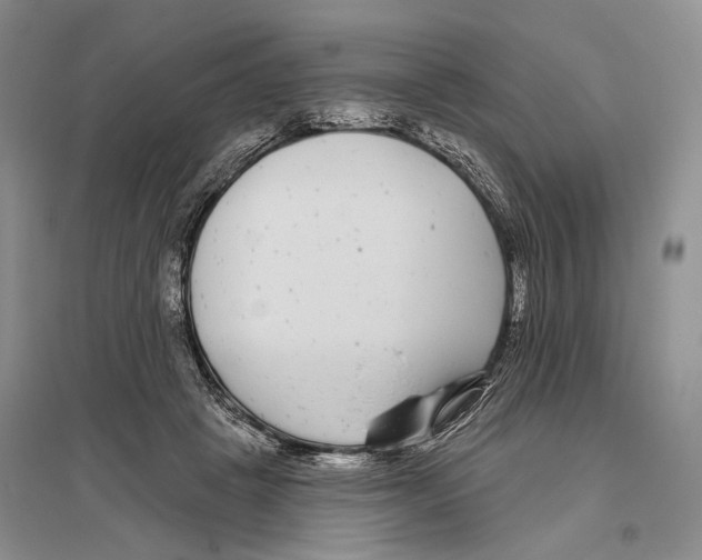 X0000096430457200802211151