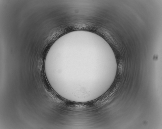 X0000096430458200802211151