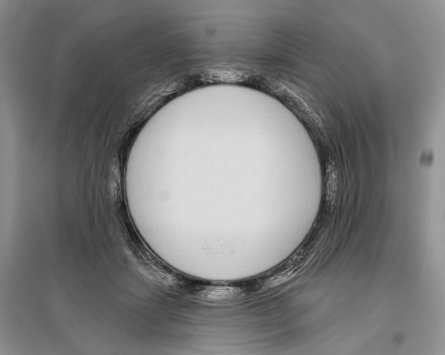 X0000096430459200802211151