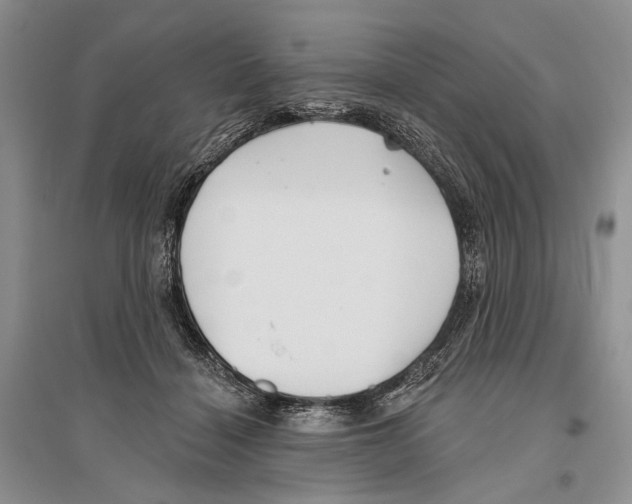 X0000096430460200802211151