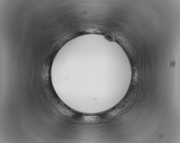 X0000096430461200802211151