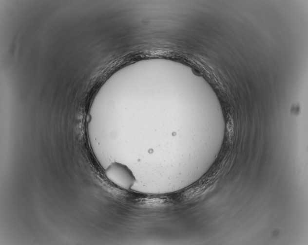 X0000096430462200802211151