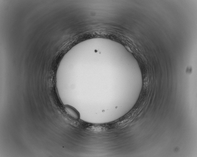 X0000096430464200802211151