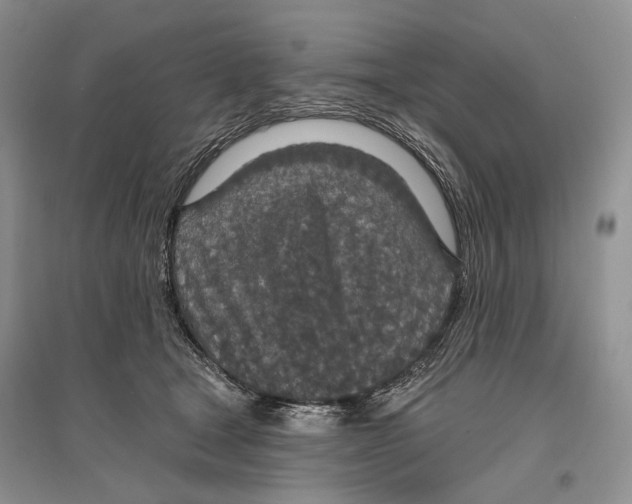 X0000096430465200802211151