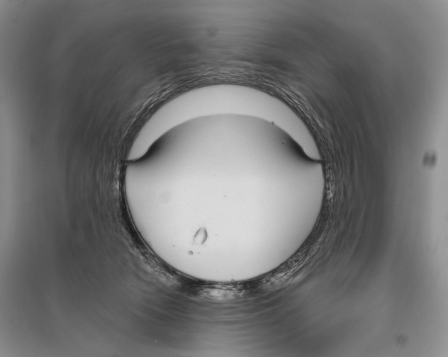 X0000096430466200802211151