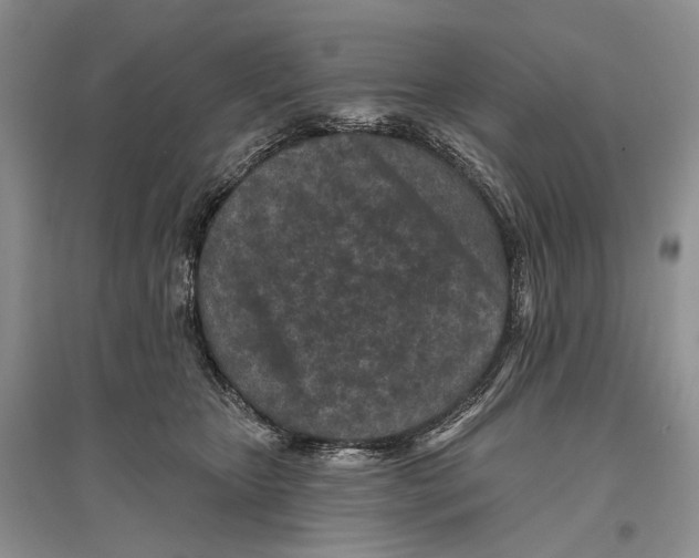 X0000096430467200802211151